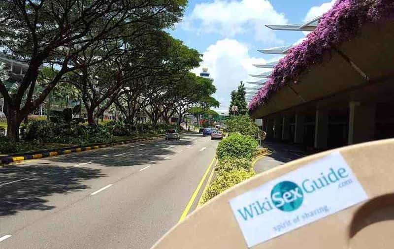 File:WikiSexGuide Singapore.jpg